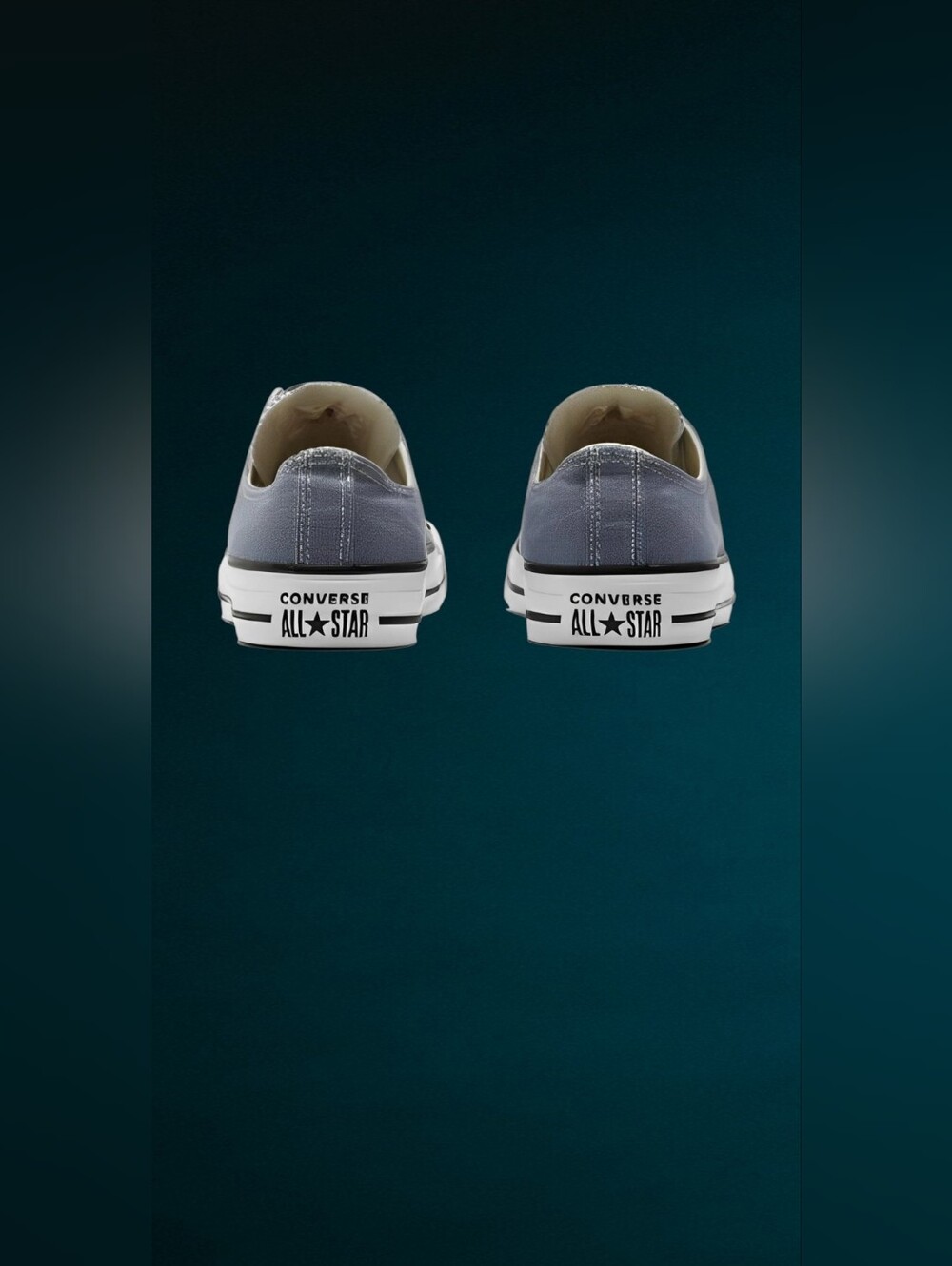 Converse Chuck Taylor All Star Seasonal - Picture 6 of 7